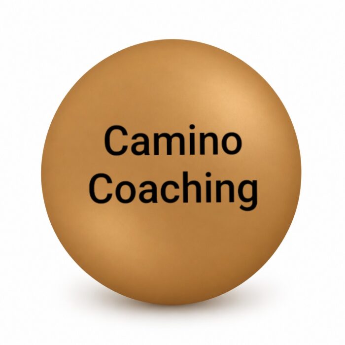 Camino Coaching auch online